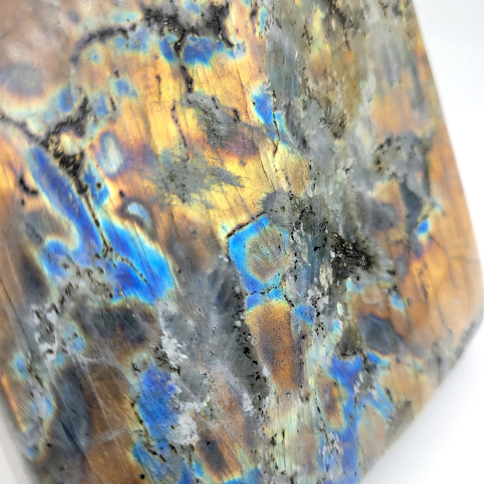 Labradorite Polie – Reflets cuivre, bleu & violet (1,595 kg)